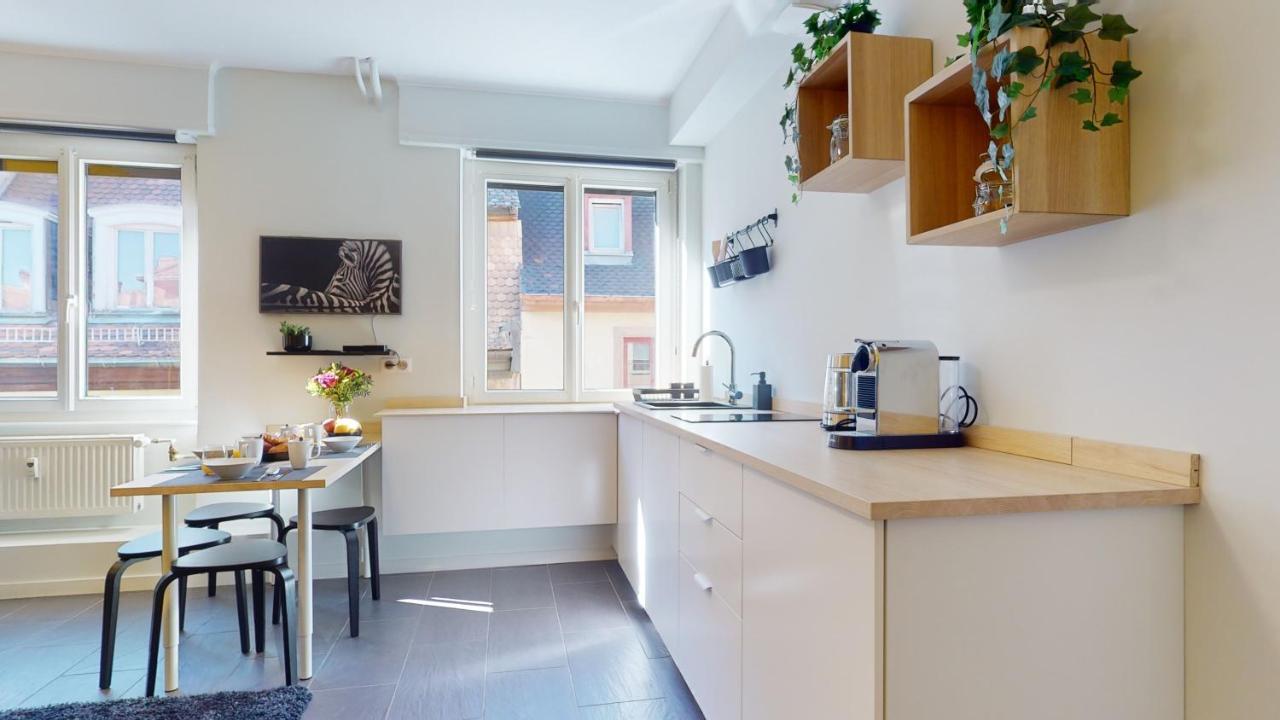 Suite Privative 43M2 - Les Tailleurs A 120M De La Cathedrale Estrasburgo Exterior foto